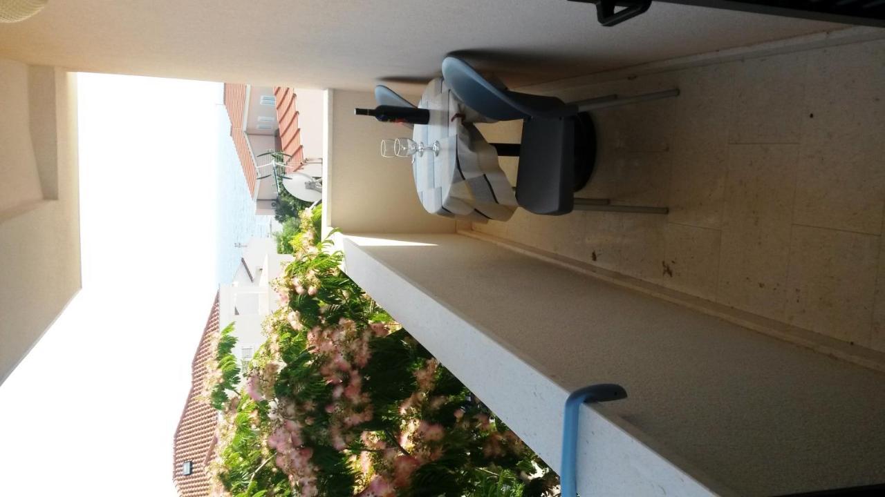 Rajcic Apartments ロゴズニッツァ 部屋 写真